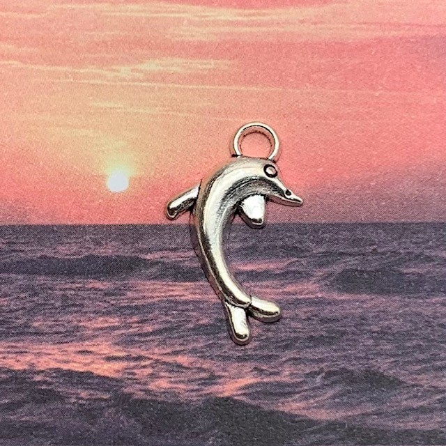 Dolfijn bedel