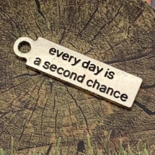 every day is a second chance bedel 