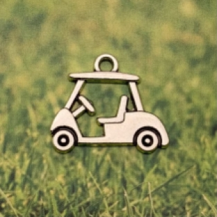 Golfkar buggy bedel 