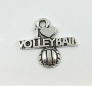 i love volleyball bedel