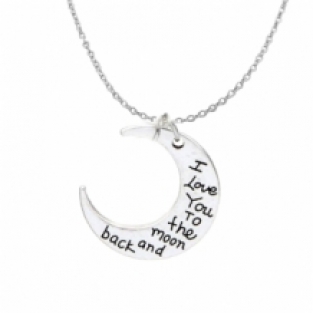 I love you to the moon and back ketting